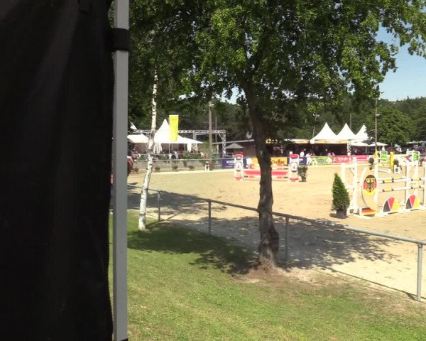 Reitturnier Olfen-Vinnum 2021