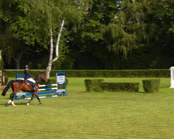 Reitturnier Westeregeln 2021