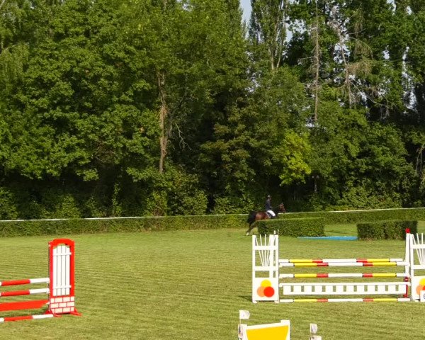 Reitturnier Westeregeln 2021