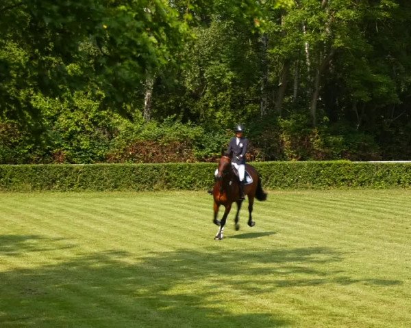 Reitturnier Westeregeln 2021