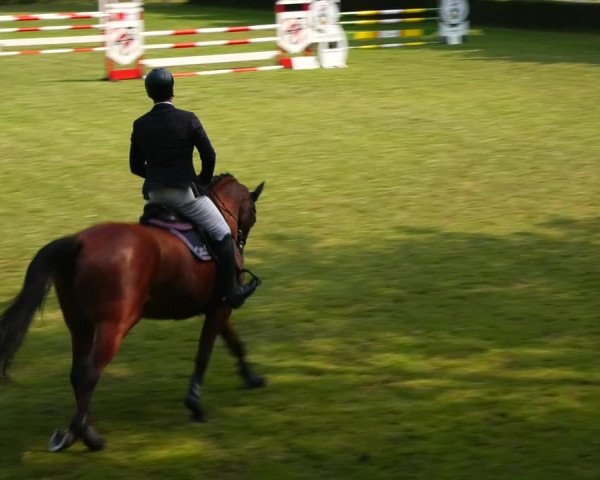 Reitturnier Westeregeln 2021