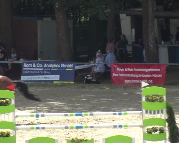 Reitturnier Neunkirchen-Salchendorf 2021