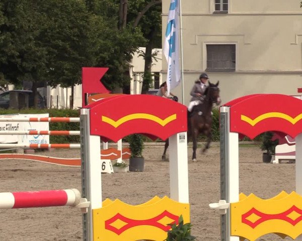 Reitturnier Neustadt/Dosse 2021