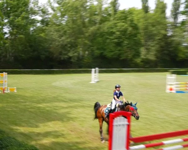 Reitturnier Westeregeln 2021