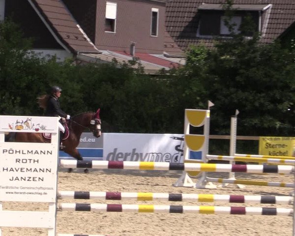 Reitturnier Kropp 2021