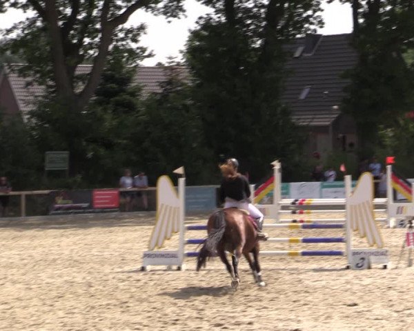 Reitturnier Kropp 2021