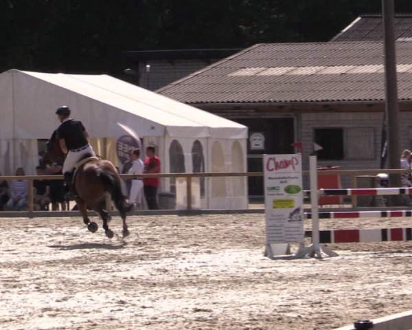Reitturnier Kropp 2021