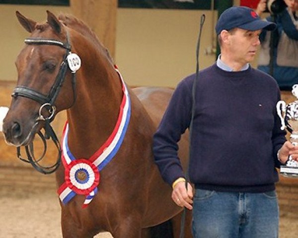 Semental Sander (Pony New Forest, 1994, de Brummerhoeve's Boss)