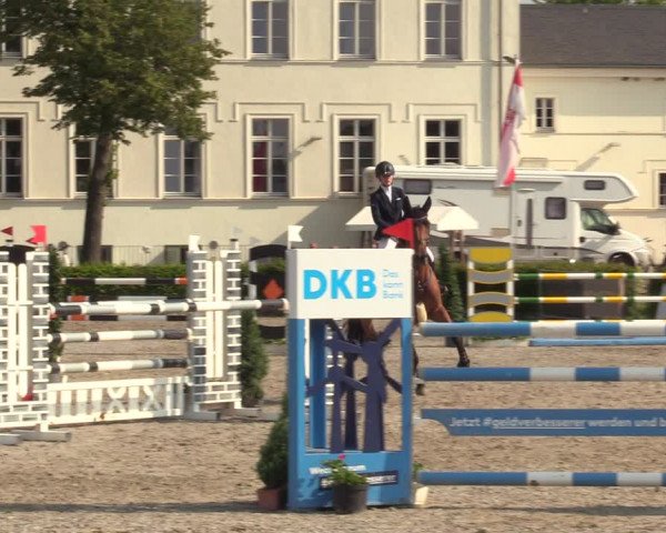 Reitturnier Neustadt/Dosse 2021