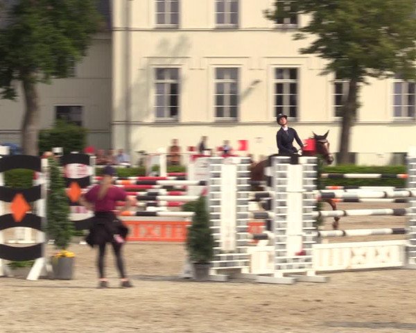 Reitturnier Neustadt/Dosse 2021