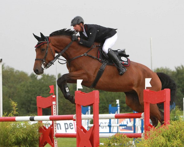 jumper Carthanio (Holsteiner, 2007, from Cartani 4)