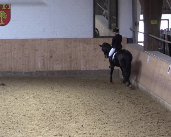 Reitturnier Olfen-Vinnum 2021