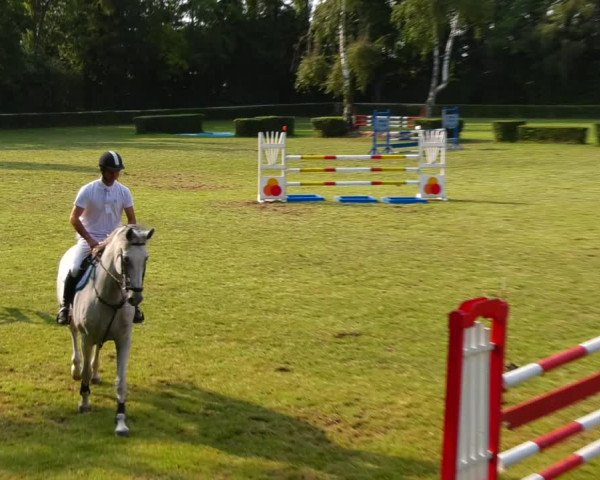 Reitturnier Westeregeln 2021