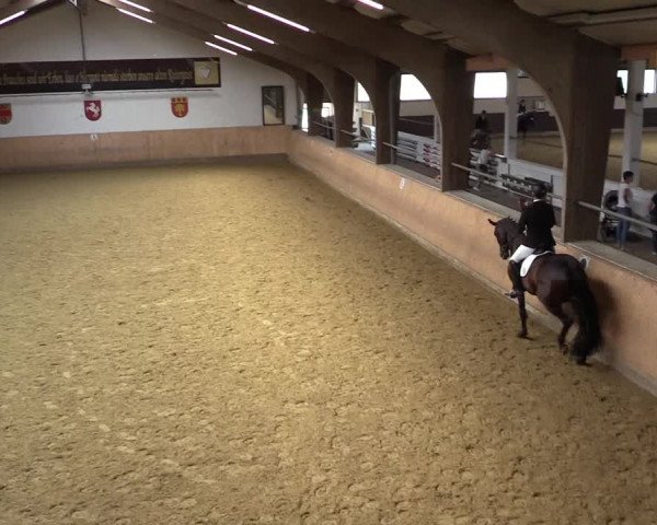 Reitturnier Olfen-Vinnum 2021
