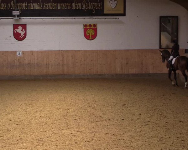 Reitturnier Olfen-Vinnum 2021