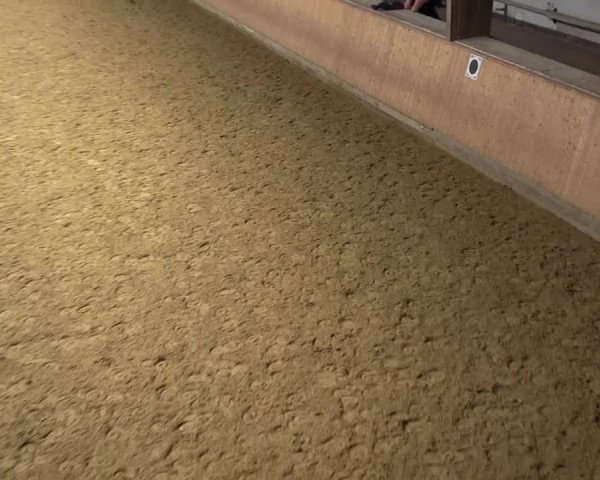 Reitturnier Olfen-Vinnum 2021