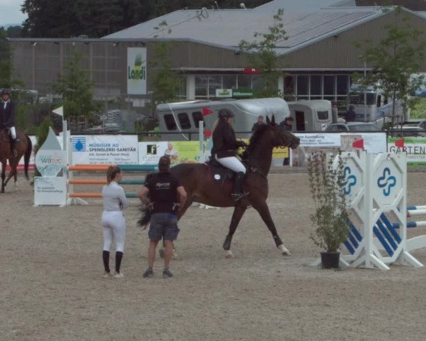 Reitturnier Gossau 2021