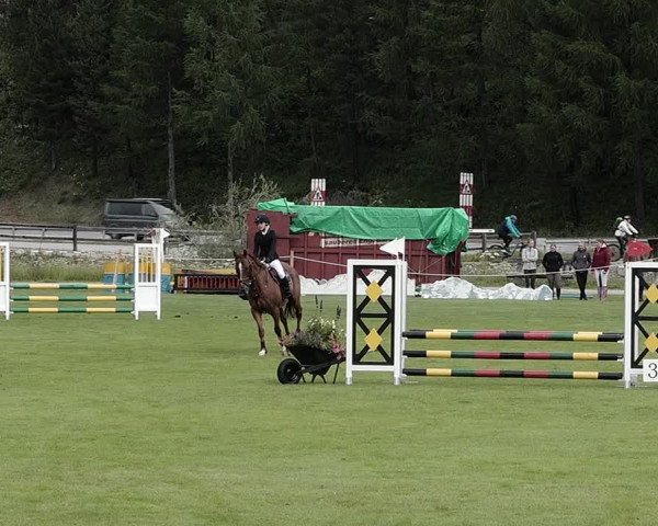 Sommer Concourse Hippique in St. Moritz 2021