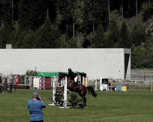 Sommer Concourse Hippique in St. Moritz 2021