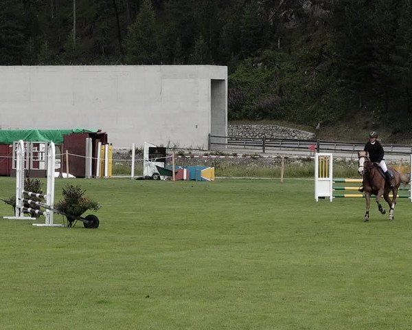 Sommer Concourse Hippique in St. Moritz 2021