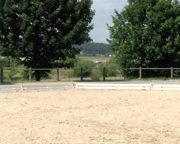 Reitturnier Biberach/Riß 2021