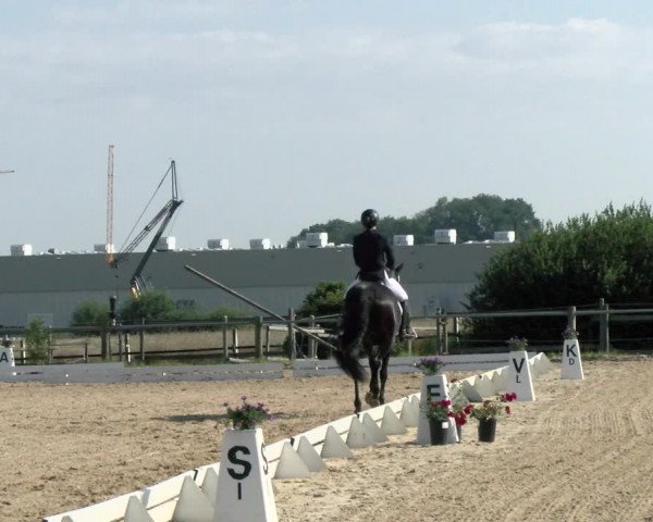 Reitturnier Biberach/Riß 2021