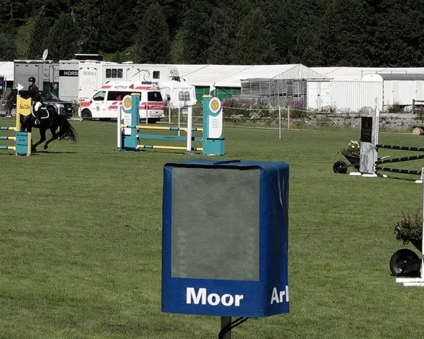 Sommer Concourse Hippique in St. Moritz 2021
