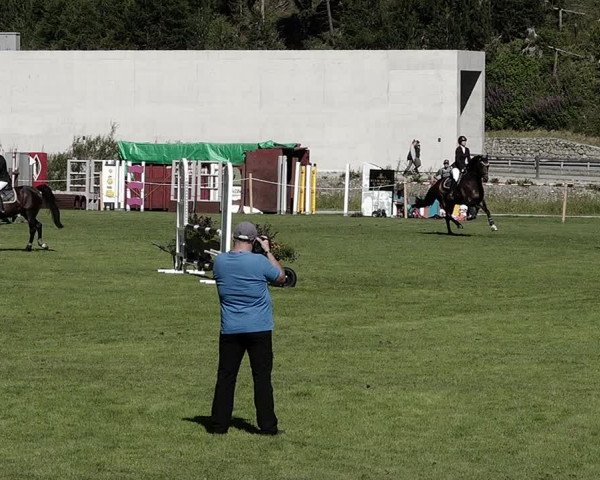 Sommer Concourse Hippique in St. Moritz 2021