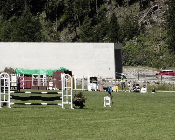Sommer Concourse Hippique in St. Moritz 2021