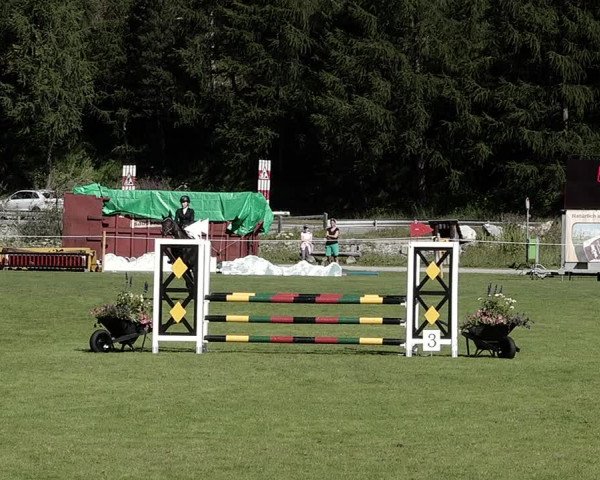 Sommer Concourse Hippique in St. Moritz 2021