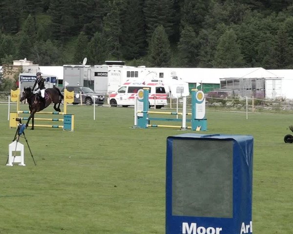 Sommer Concourse Hippique in St. Moritz 2021