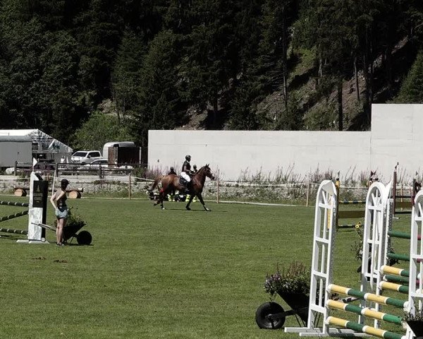 Sommer Concourse Hippique in St. Moritz 2021