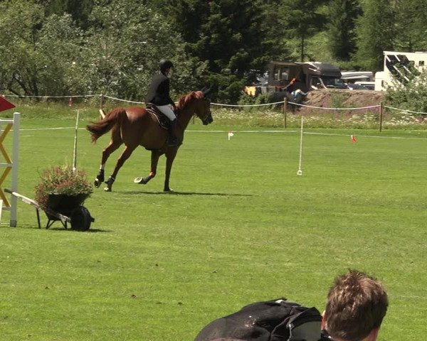 Sommer Concourse Hippique in St. Moritz 2021