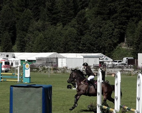 Sommer Concourse Hippique in St. Moritz 2021