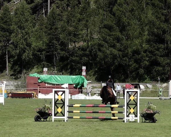 Sommer Concourse Hippique in St. Moritz 2021