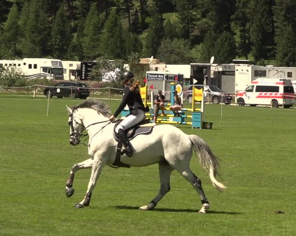 Sommer Concourse Hippique in St. Moritz 2021