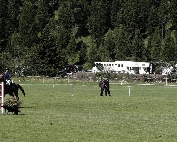 Sommer Concourse Hippique in St. Moritz 2021
