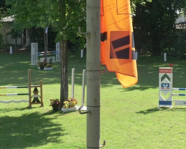 Sommerturnier Waghäusel-Wiesental mit Nordbadischen Springmeisterschaften 2021