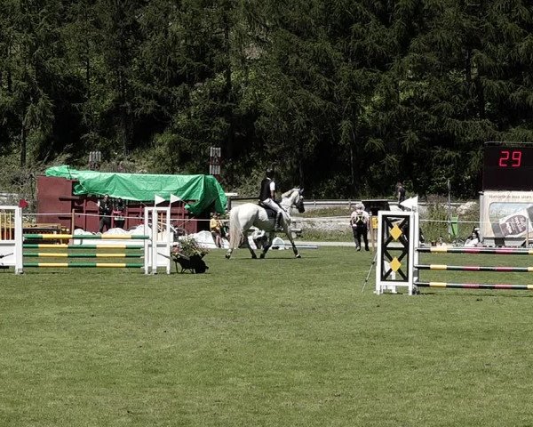 Sommer Concourse Hippique in St. Moritz 2021