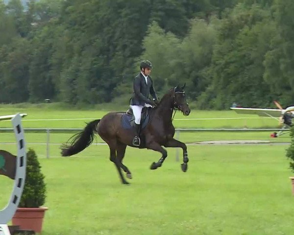 Rakoczy-Reitturnier Bad Kissingen 2021
