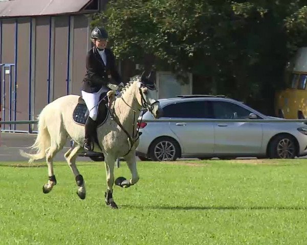 Rakoczy-Reitturnier Bad Kissingen 2021