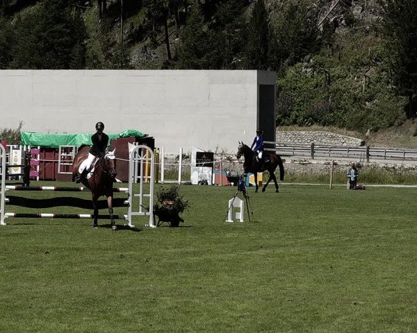 Sommer Concourse Hippique in St. Moritz 2021