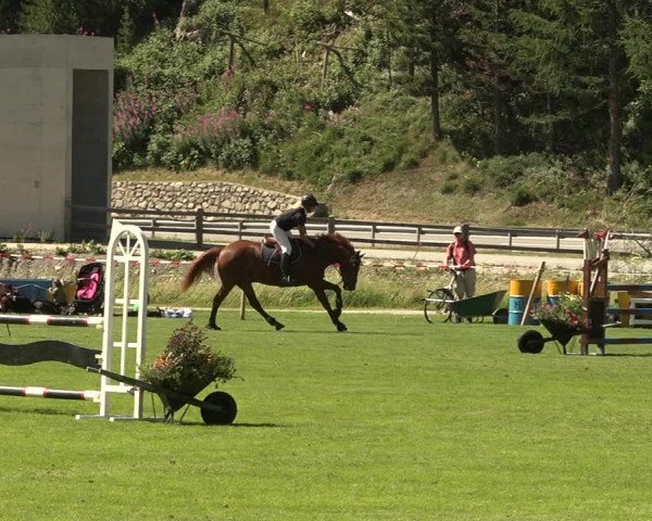 Sommer Concourse Hippique in St. Moritz 2021