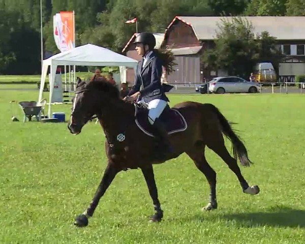 Rakoczy-Reitturnier Bad Kissingen 2021