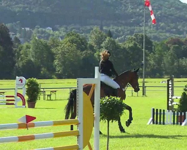 Rakoczy-Reitturnier Bad Kissingen 2021