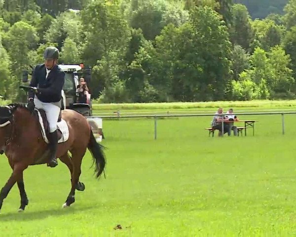 Rakoczy-Reitturnier Bad Kissingen 2021