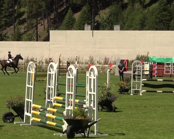 Sommer Concourse Hippique in St. Moritz 2021