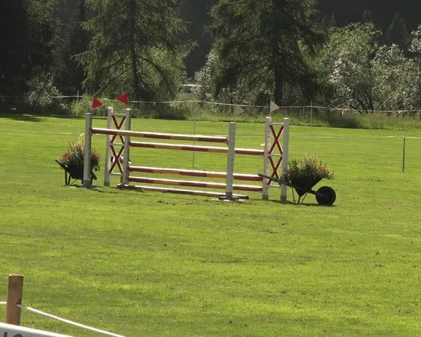 Sommer Concourse Hippique in St. Moritz 2021
