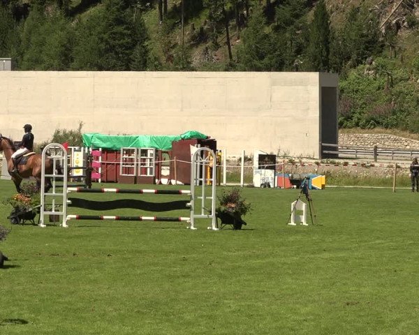 Sommer Concourse Hippique in St. Moritz 2021