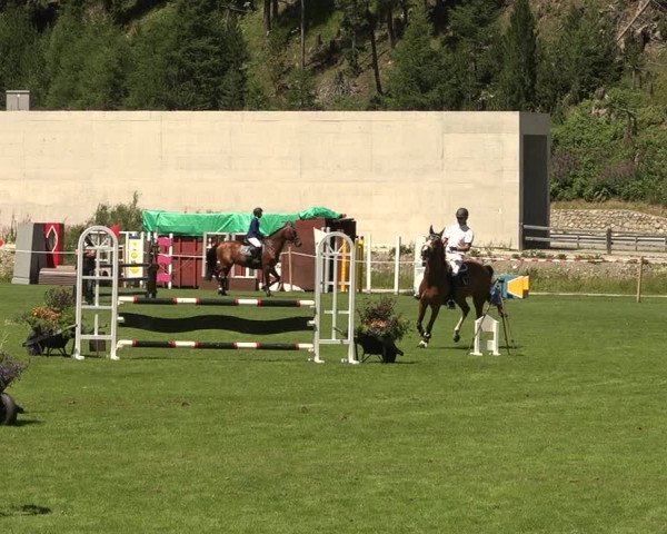 Sommer Concourse Hippique in St. Moritz 2021